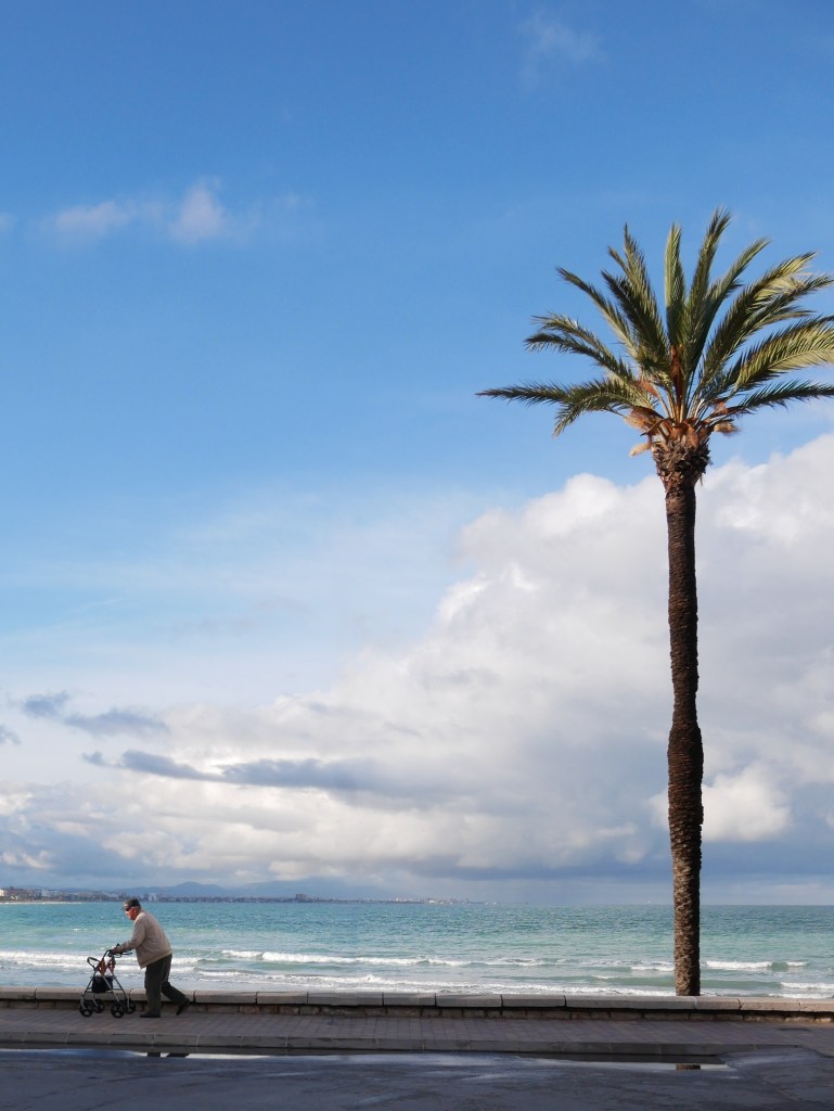 well dressed gentleman walking along the beach with his zimmer frame in peniscola spain with palm tree and blue skies also in frame